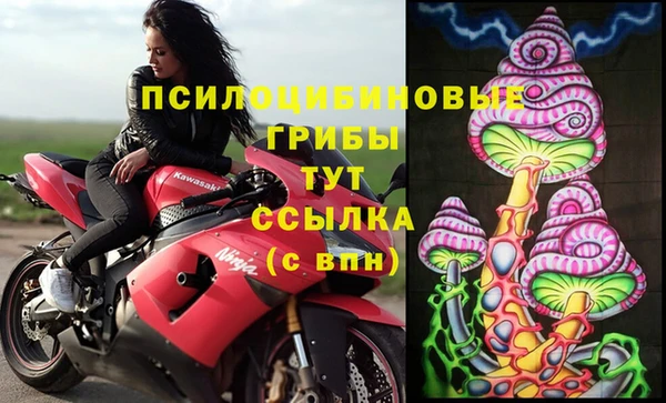 ECSTASY Дмитриев