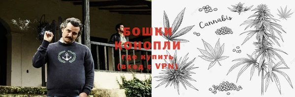 ECSTASY Дмитриев