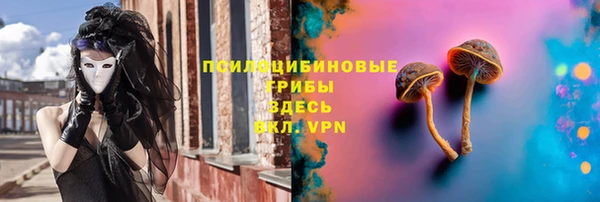 ECSTASY Дмитриев