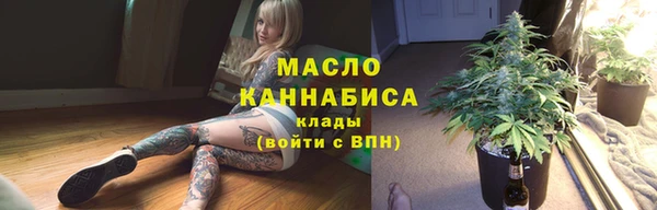 мет Ельня
