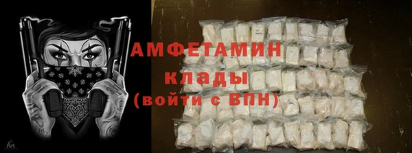 мет Ельня