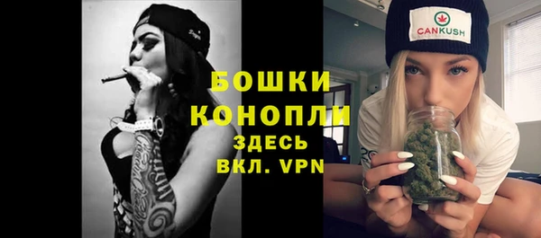 ECSTASY Дмитриев