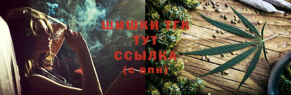 соль ск Елабуга
