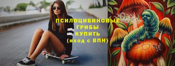 ECSTASY Дмитриев